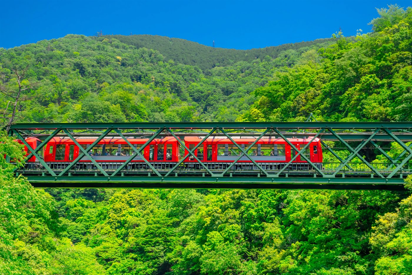 A red Hakone Tozan train crossing a bridge in fresh greenery